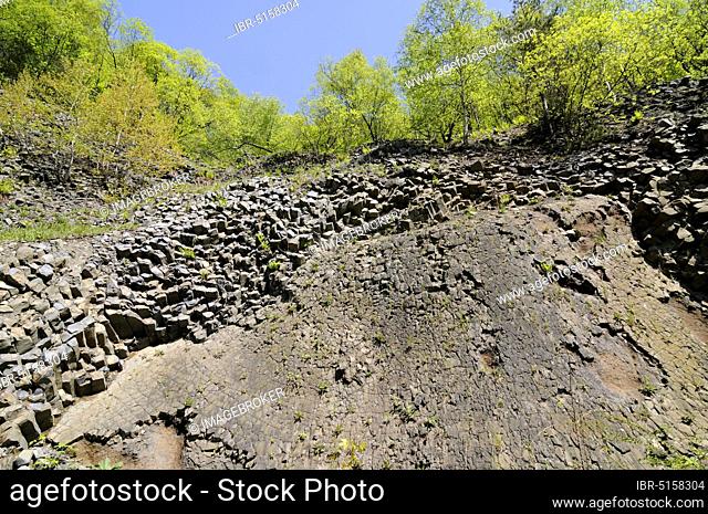 Basalt, basalt prismatic wall, Rhön Biosphere Reserve, Bavaria, Germany, Europe