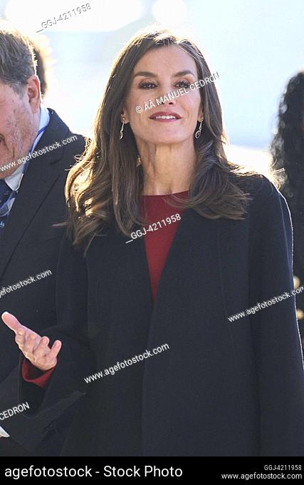 Queen Letizia of Spain attends annual meeting of Instituto Cervantes centre directors at Oscar Niemeyer International Cultural Centre on December 19