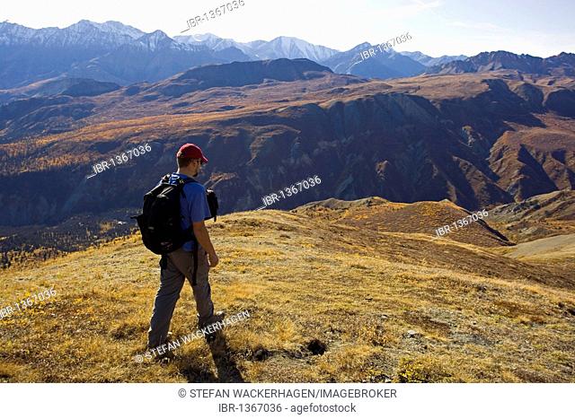 Hiker, man hiking, view from Sheep Mountain to Bullion Plateau, St. Elias Mountains, Kluane National Park and Reserve, Yukon Territory, Canada