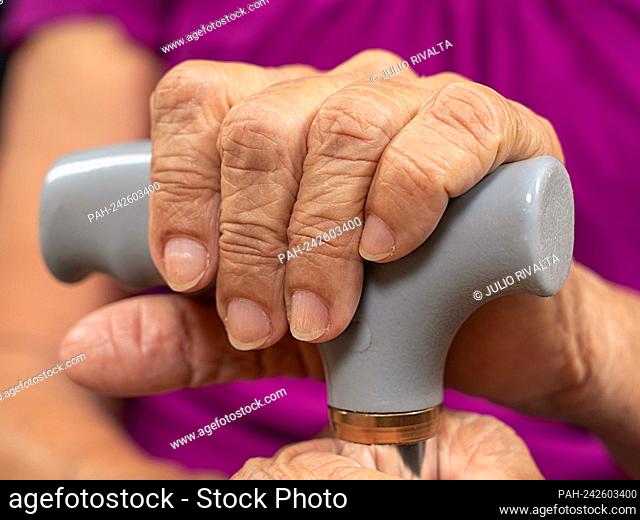 Old wrinkled woman hands holding a walking stick || Model approval available