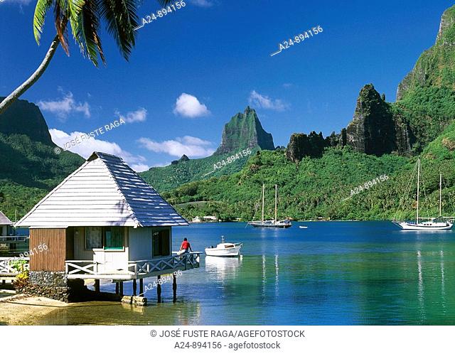 Cook's Bay, Moorea, Society Islands, French Polynesia (May, 2009)