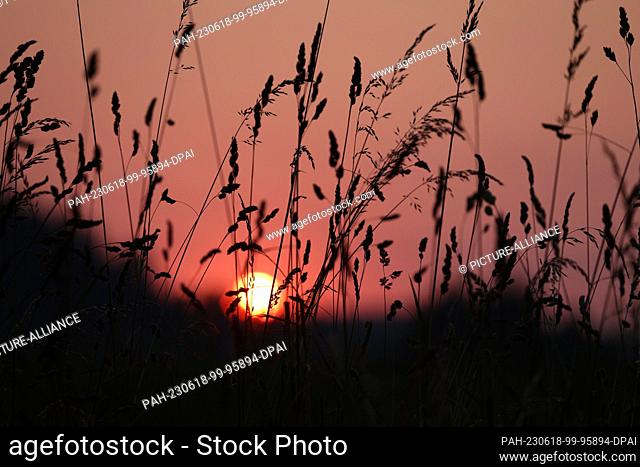 18 June 2023, Bavaria, Stötten: The sun rises behind a meadow in the early morning. Photo: Karl-Josef Hildenbrand/dpa. - Stötten/Bavaria/Germany