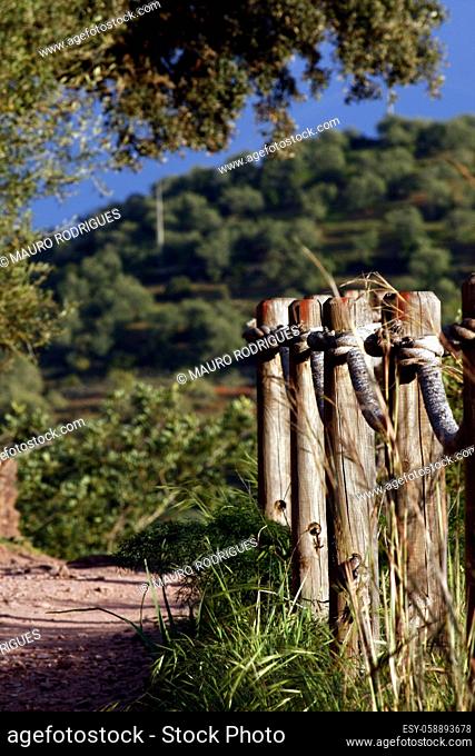 View of a dirt trail with a wooden fence with rope in the nature