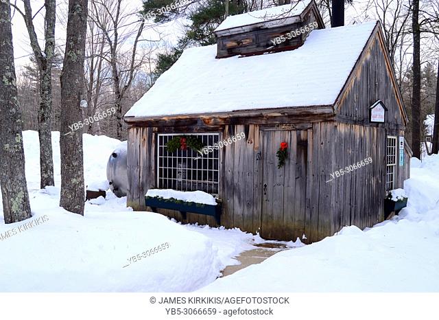 A Sugar Maple Shack In New Hampshire at Christmas