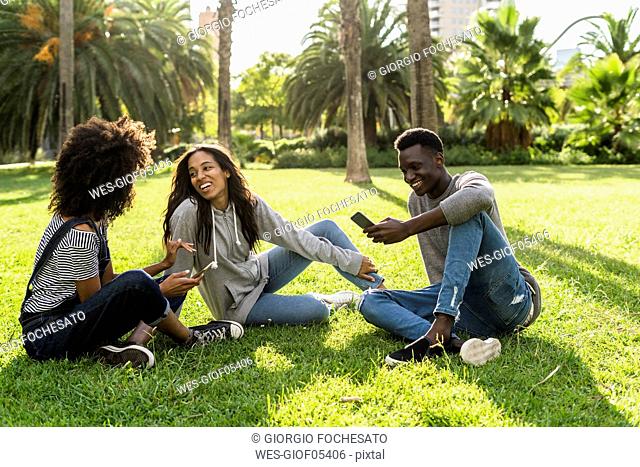 Friends sitting on grass, having fun, using smartphone