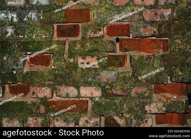 Old brick wall with moss close up. grunge background