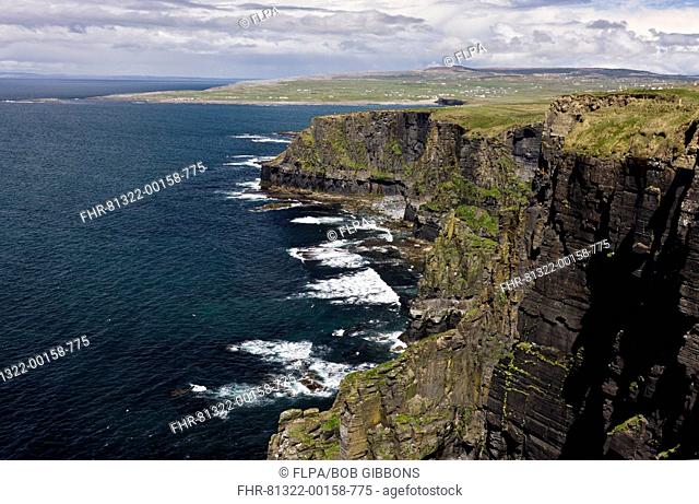 Sheer Namurian sandstone and shale cliffs, Cliffs of Moher, The Burren, County Clare, Ireland, May