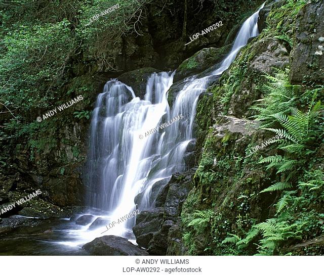 Republic of Ireland, County Kerry, Killarney, Torc waterfall near Kilarney Town