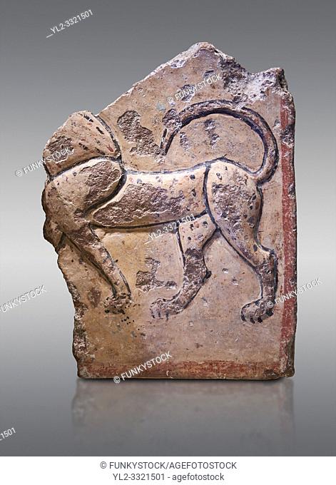 Phrygian relief plaque fragment depicting a lion . 8th-7th century BC . Çorum Archaeological Museum, Corum, Turkey