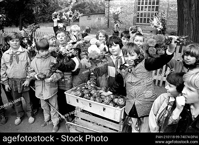 05 July 1984, Saxony, Brinnis: Who has the biggest kohlrabi? Young Pioneers and Thälmann Pioneers with neckerchiefs show the results of their school gardening...