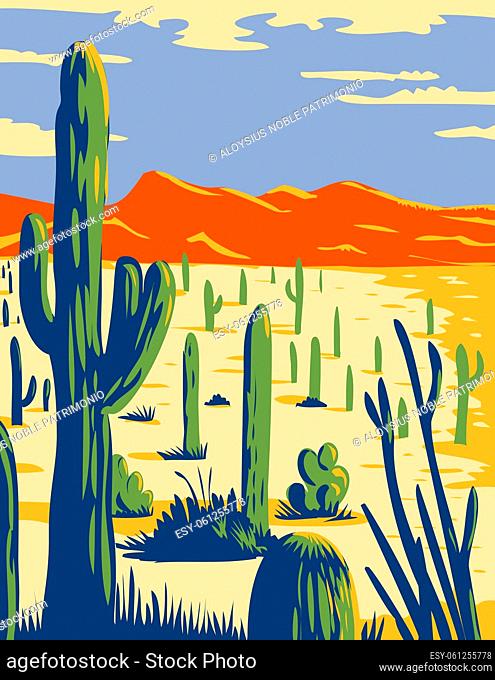 WPA poster art of Saguaro National Park with giant Saguaro cactus growing in Sonoran Desert in Pima County, Arizona, United States done in works project...