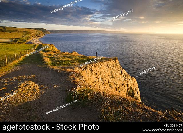 The South West Coast Path along the top of Cornborough Cliffs near Westward Ho! on the North Devon Coast AONB. , England
