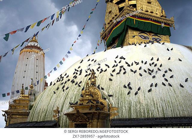 Swayambhunath Stupa views, a variety of shrines and temples which is known as the Monkey Temple, an ancient religious complex atop a hill in the Kathmandu...