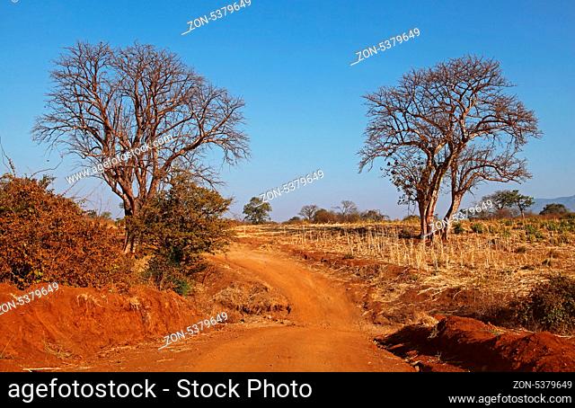 Zufahrt zum Lower Zambezi Nationalpark, Sambia; street to Lower Zambezi National Park, Zambia