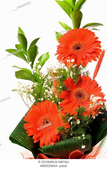 Magnificent bouquet gerbera on a white