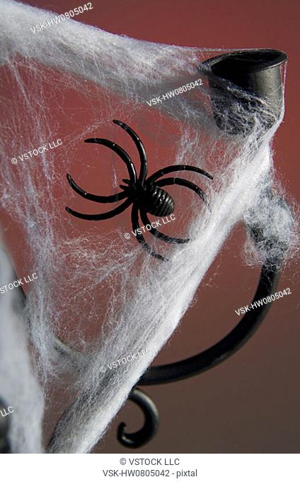 Spider on web on candleholder