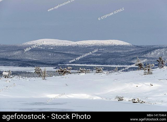 national view from särkitunturi, mountain near muonio, fjell-lapland, finland