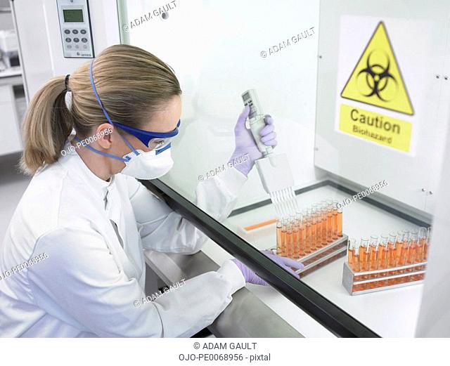 Scientist filling test tubes under biohazard sign