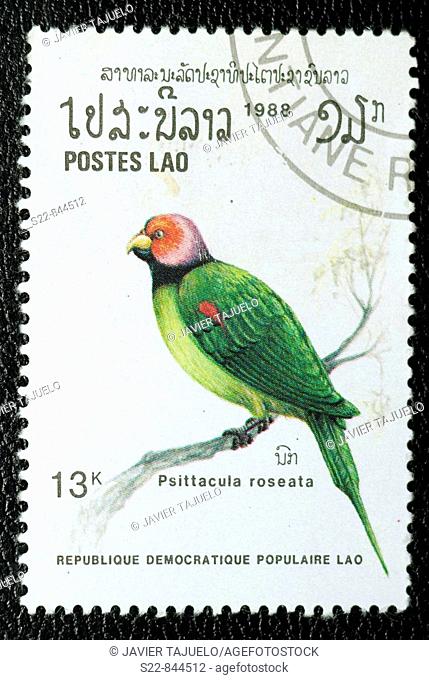 Blossom-headed Parakeet (Psittacula roseata), stamp, Laos