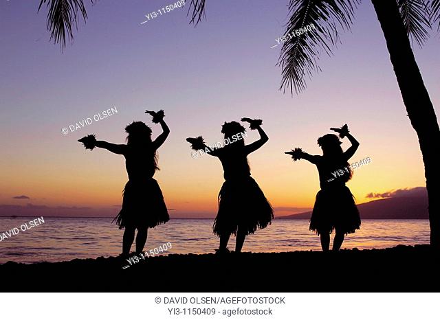Three hula dancers perform at sunset framed by a palm tree at Olowalu, Maui, Hawaii, USA