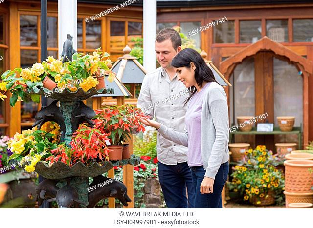 Happy couple looking at red plant in garden center