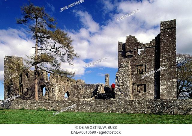 Ruins of Bective Cistercian Abbey, founded in 1147, Count Meath, Ireland