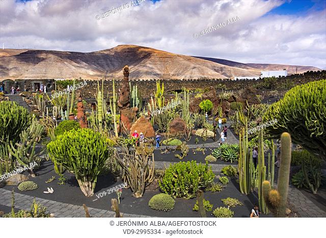 Jardin de Cactus. Cactus Garden designed by Cesar Manrique, Risco de las Nieves range, Guatiza. Lanzarote Island. Canary Islands Spain. Europe