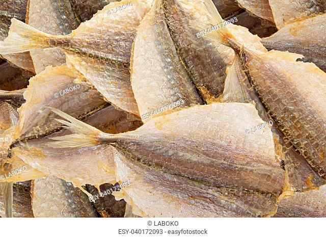 Salty dried fish to beer isolated on white