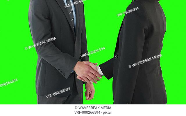 Business people handshaking