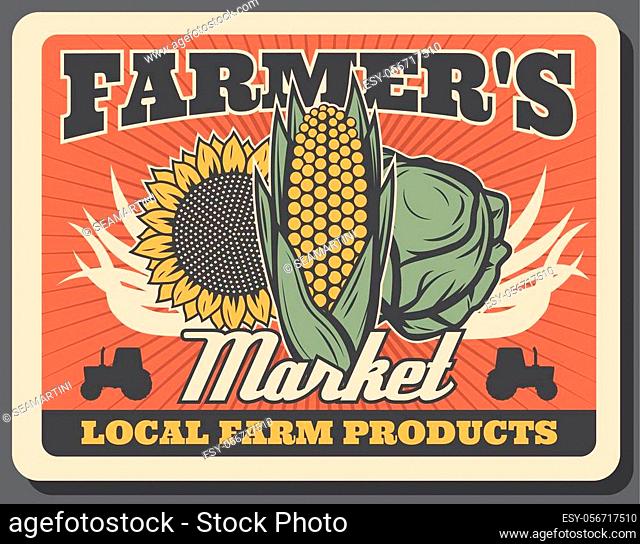 Vegetables of farmers market retro poster with vector cabbage, corn, sunflower and tractors. Fresh food products and veggies of local farms