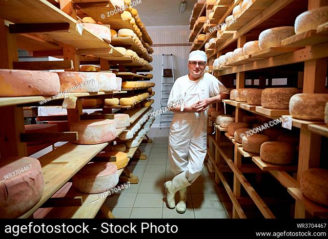 Cheese maker at the storage with shelves full of cow and goat cheese wheels during the aging process in local food production factory