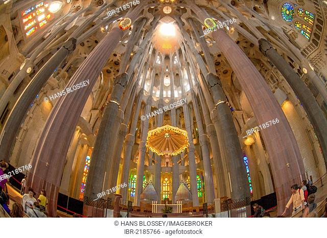 Church ceiling, altar with a baldachin or canopy of state, tree-shaped pillars and ceiling, interior of Sagrada Familia, Basílica i Temple Expiatori de la...