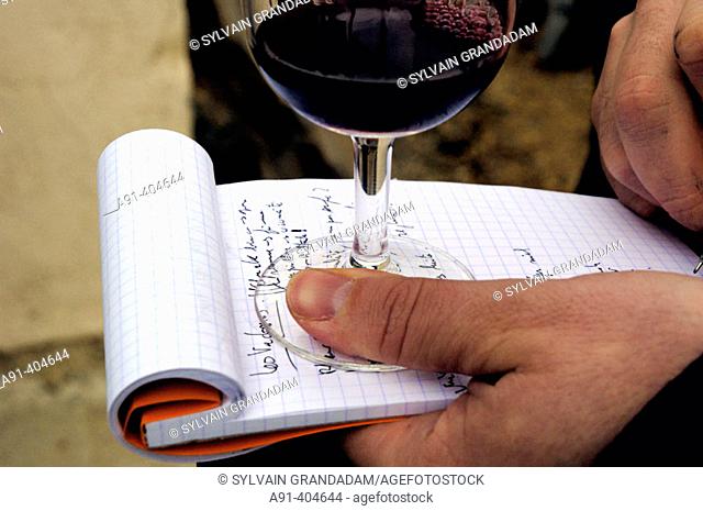 Wine tasting in Maison de la Truffe et du Vin du Luberon, Ménerbes. Luberon region, Vaucluse. Provence, France