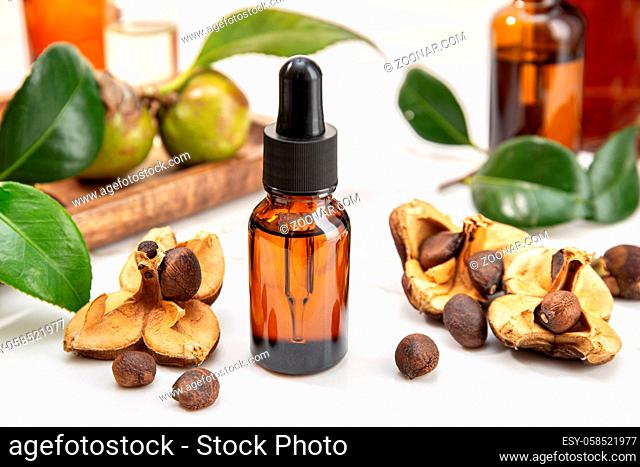 Camellia essential oil bottle and camellia seeds. Beauty, skin care, wellness