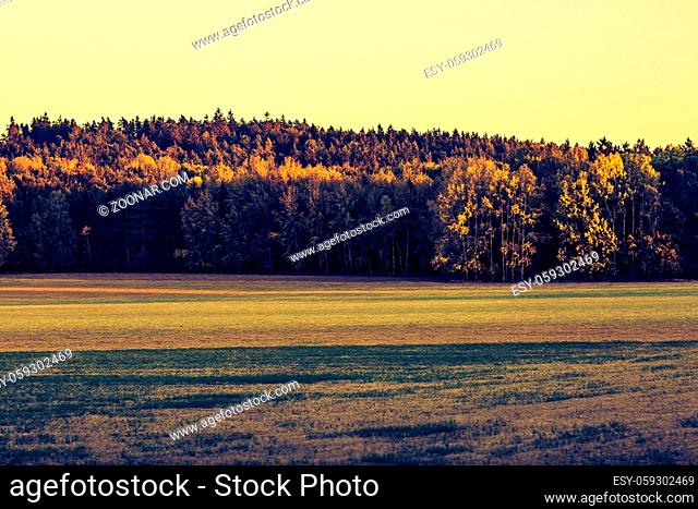 autumn outdoor nature scene with tree and fields