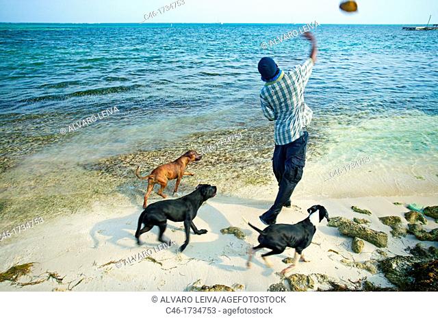 Men and dogs, Beach San Pedro Ambergris Caye Belize