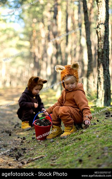 Twin sisters collecting pine cones in forest