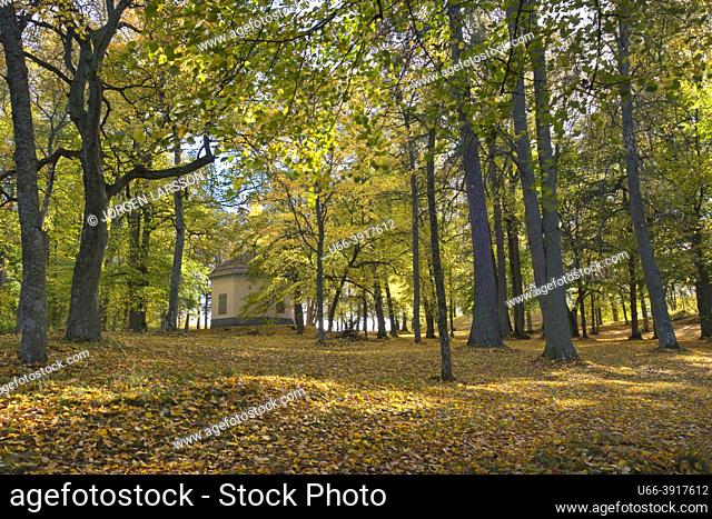 Park in autumn Norsborgsparken Botkyrka Sweden