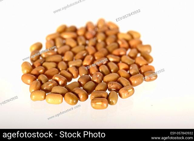Closeup Of Moth Beans, Indian name Matki, Closeup of moth beans a lesser known legume