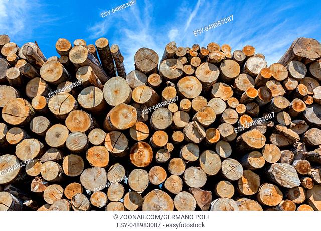 Stack of cut timber logs against clear blue sky. Closeup of wooden trunks
