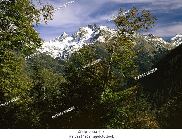 Switzerland, Bernese Oberland, Sustenstraße,  Gadmental, gaze, Fünffingerstöck, Grassengrat, autumn,  highland, mountains, summits snow-covered, mountain forest