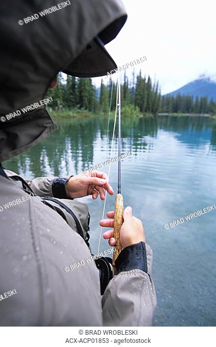 Male fly fisher strips line on misty day in river, Canadian Rockies, Alberta, Canada
