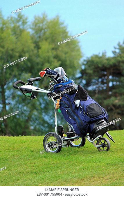 golf caddie