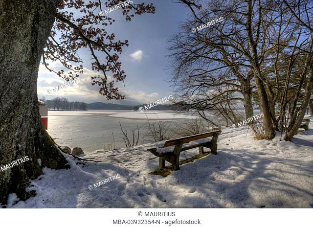 Staffelsee lake near Murnau, Upper Bavaria, Bavaria, Germany
