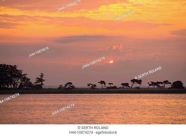 Urehoved, Denmark, island, isle, Aero, coast, sea, trees, land tongue, clouds, morning mood, sunrise
