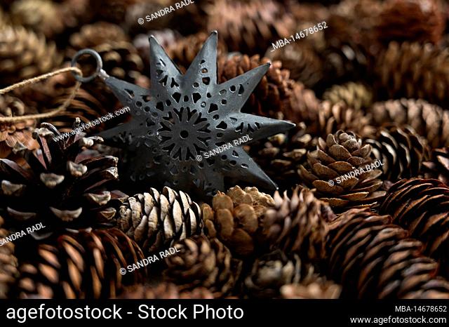 Star and cones from different conifers, decoration with natural materials