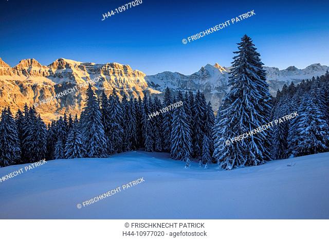 Alps, Alviergruppe, Alvier range, view, tree, mountain, mountain panorama, mountains, massif, trees, Churfirsten, rock, cliff, spruce, spruces, Flumserberge