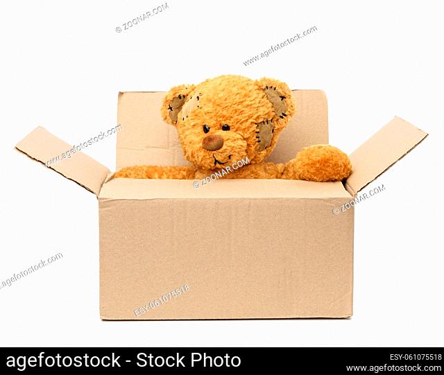 brown teddy bear sit in a large brown cardboard box, concept of moving or volunteering