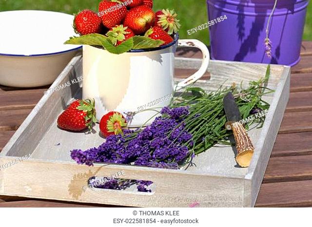 Erdbeeren und Lavendel auf einem Tablett