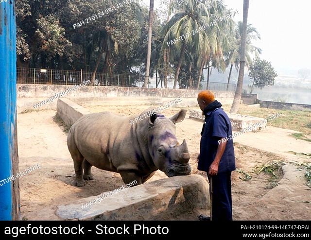 18 January 2021, Bangladesh, Dhaka: Farid Miah, keeper of the lonely rhino lady Kanchi, tries to encourage the animal to eat at the National Zoo